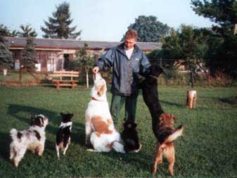 Bild: Hunde auf der Spielwiese mit Herrn Zepke. Wer fein Sitz macht, bekommt ein Leckerle 