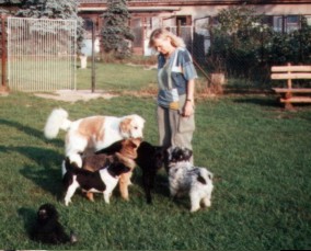 Bild: Hunde versammlen sich auf der Spielwiese um Frau Zepke. Jeder bekommt seine Streicheleinheiten.